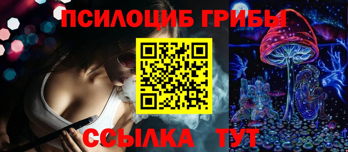 Галлюциногенные грибы Psilocybe Елец